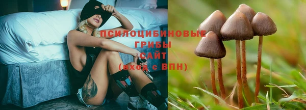 мет Арсеньев