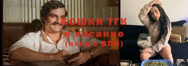 мет Арсеньев