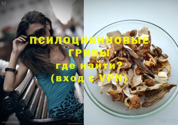 мет Арсеньев