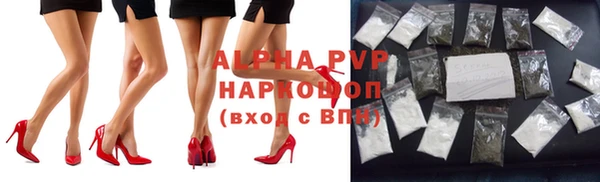 a pvp Аркадак