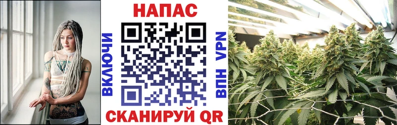 Бошки марихуана Amnesia  продажа наркотиков  Ивангород 